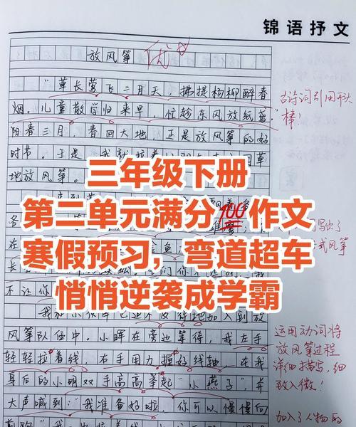 三年级小学生的初次尝试与不懈努力(三年级小学生的初次尝试与不懈努力)