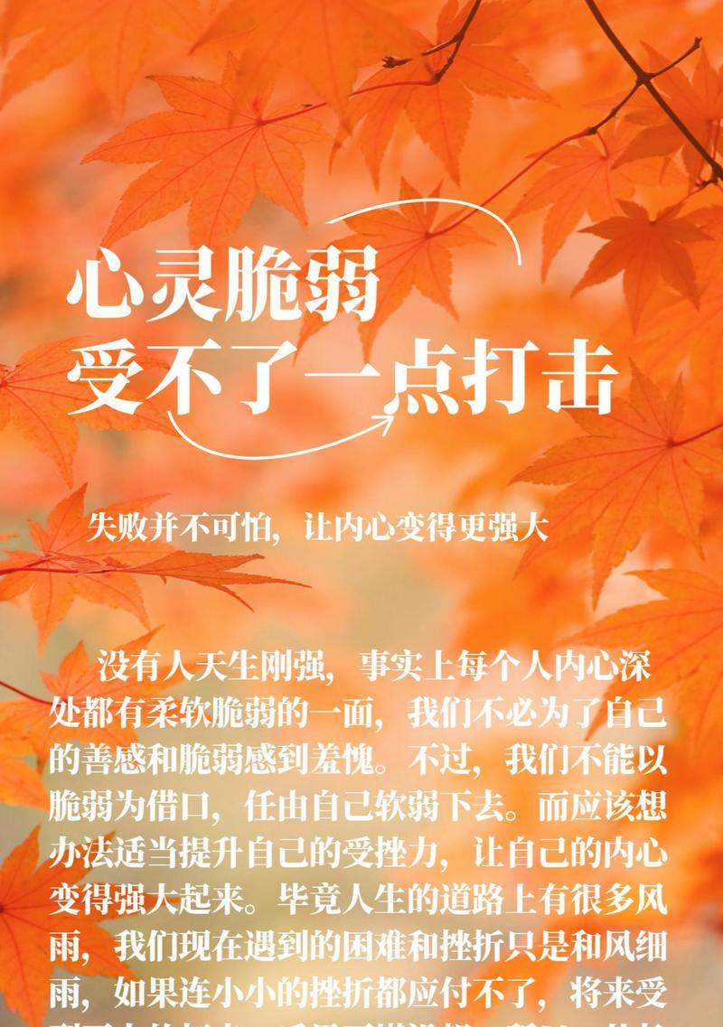 胜利与失败之间——如何以面对挫折为武器（一个足球教练的故事）