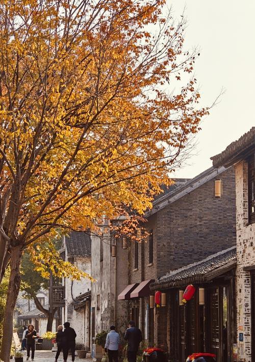 IntheGardenofEden（ATaleofFindingBeautyinNature）