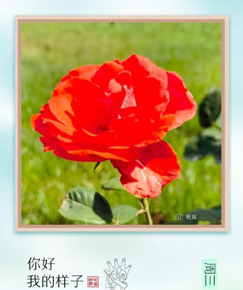 梦想在前方（努力向前，才能抓住自己想要的生活）