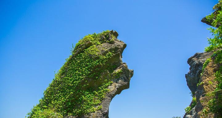 追逐梦想的旅程（在奇特的风景中找到自己）
