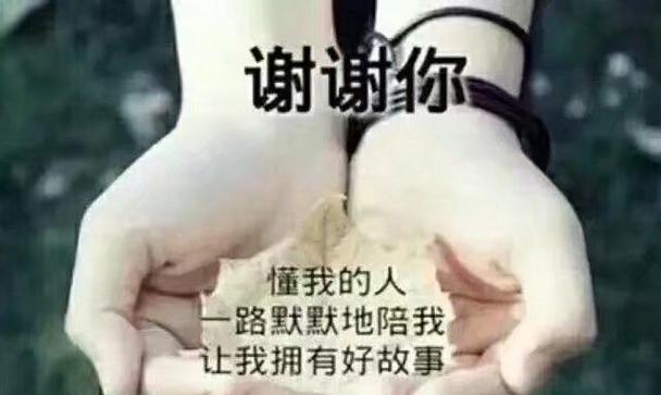瑰丽的记忆（铭记那份美好）