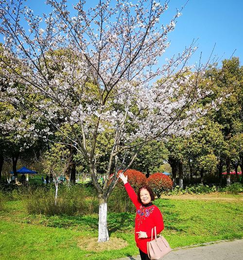 《追逐春天》（如何在生活中享受春天的美好）