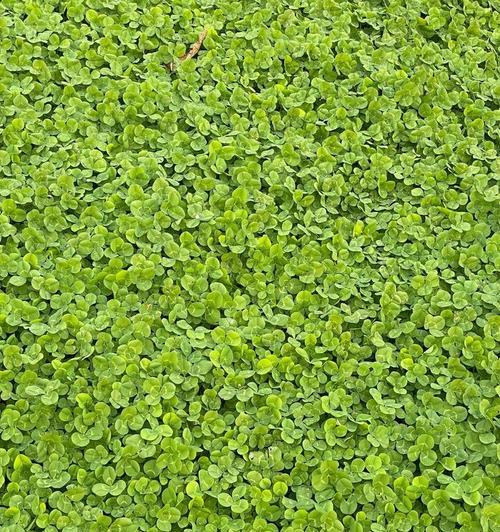 生命的力量（那个让我感受到生机勃勃的瞬间）