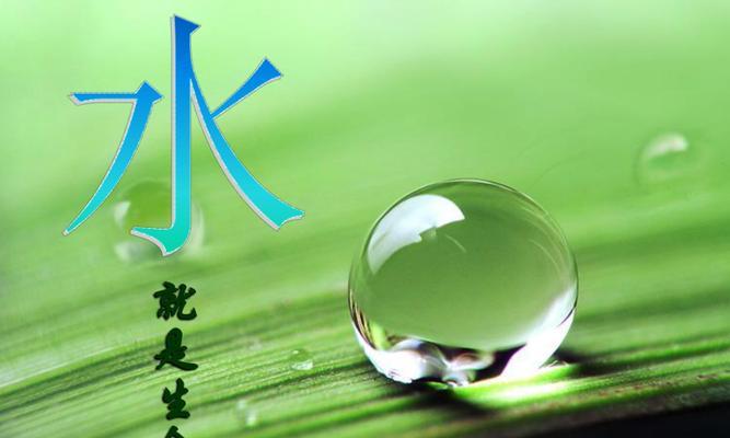 一个城市家庭的环保之路（一个城市家庭的环保之路）