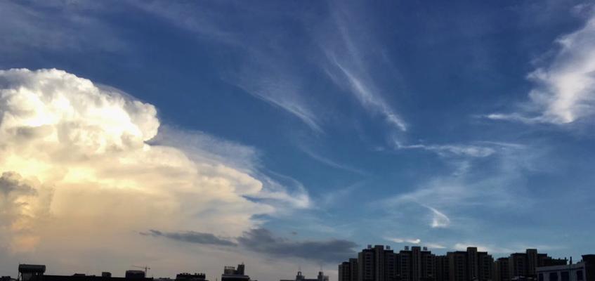 我的梦想在路上