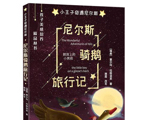 骑鹅旅行记（小男孩和他的鹅的奇妙旅程）