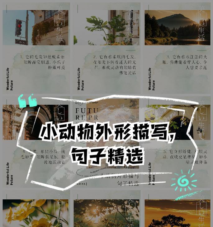 小动物的精彩世界(绿绸般的毛球——小松鼠)