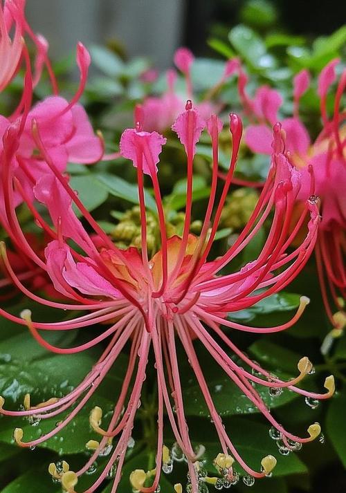 光芒（在黑暗中寻找新生）